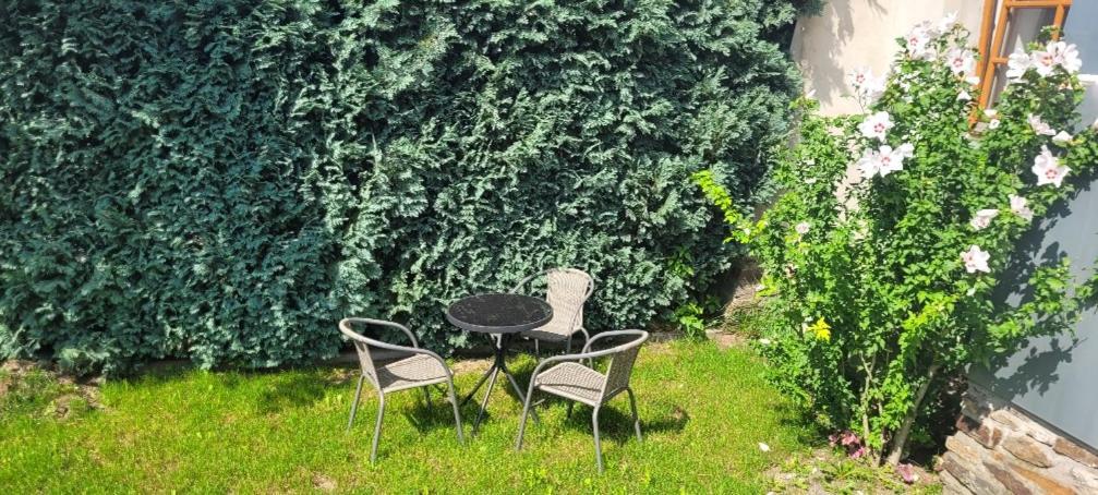Ferienwohnung Eg Frauenmarkt 1 Schneeberg  Esterno foto